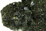 Lustrous, Epidote Crystal Cluster on Actinolite - Pakistan #164852-4